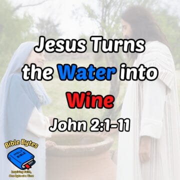 Thumbnail for Jesus Turns the Water into Wine