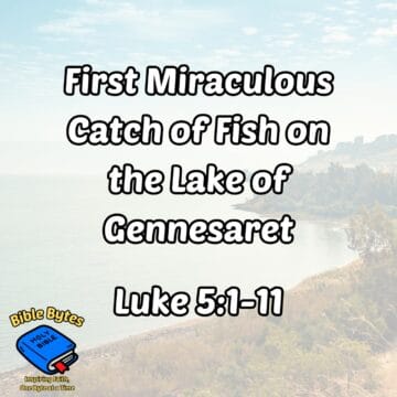 Thumbnail for The Miraculous Catch of Fish on the Lake of Gennesaret