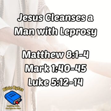 Thumbnail for Jesus Cleanses a Man with Leprosy