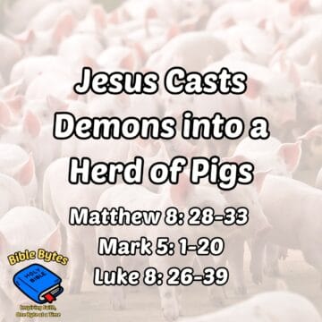 Thumbnail for Jesus Casts Demons into a Herd of Pigs