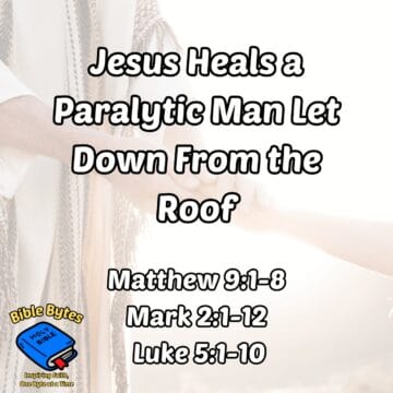 Thumbnail for Jesus Heals a Paralytic Man Let Down From the Roof