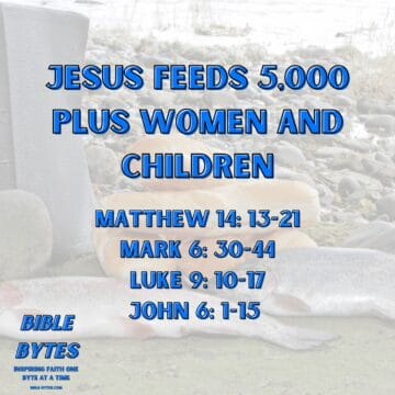 Thumbnail for Jesus Feeds 5,000 Plus Women and Children
