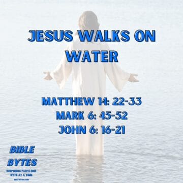 Thumbnail for Jesus Walks on Water