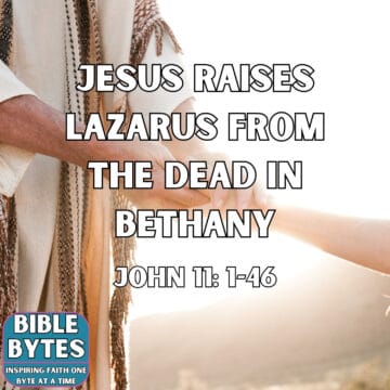 Thumbnail for Jesus Raises Lazarus from the Dead in Bethany
