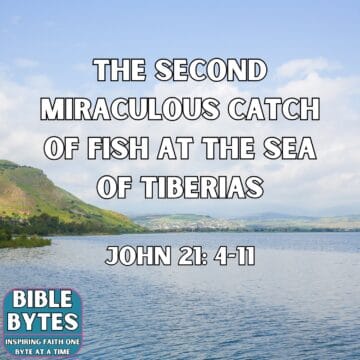 Thumbnail for The Second Miraculous Catch of Fish on the Sea of Tiberias