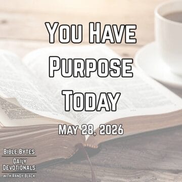 Thumbnail for You Have Purpose Today